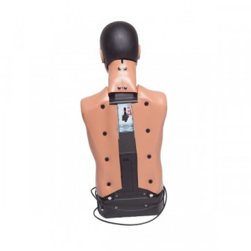 Mannequin Adulte AmbuMan B Torse