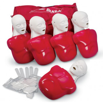 5 Mannequins Torses Basic Buddy Adulte