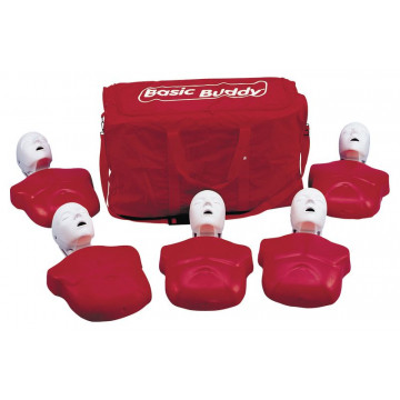 5 Mannequins Torses Basic Buddy Adulte
